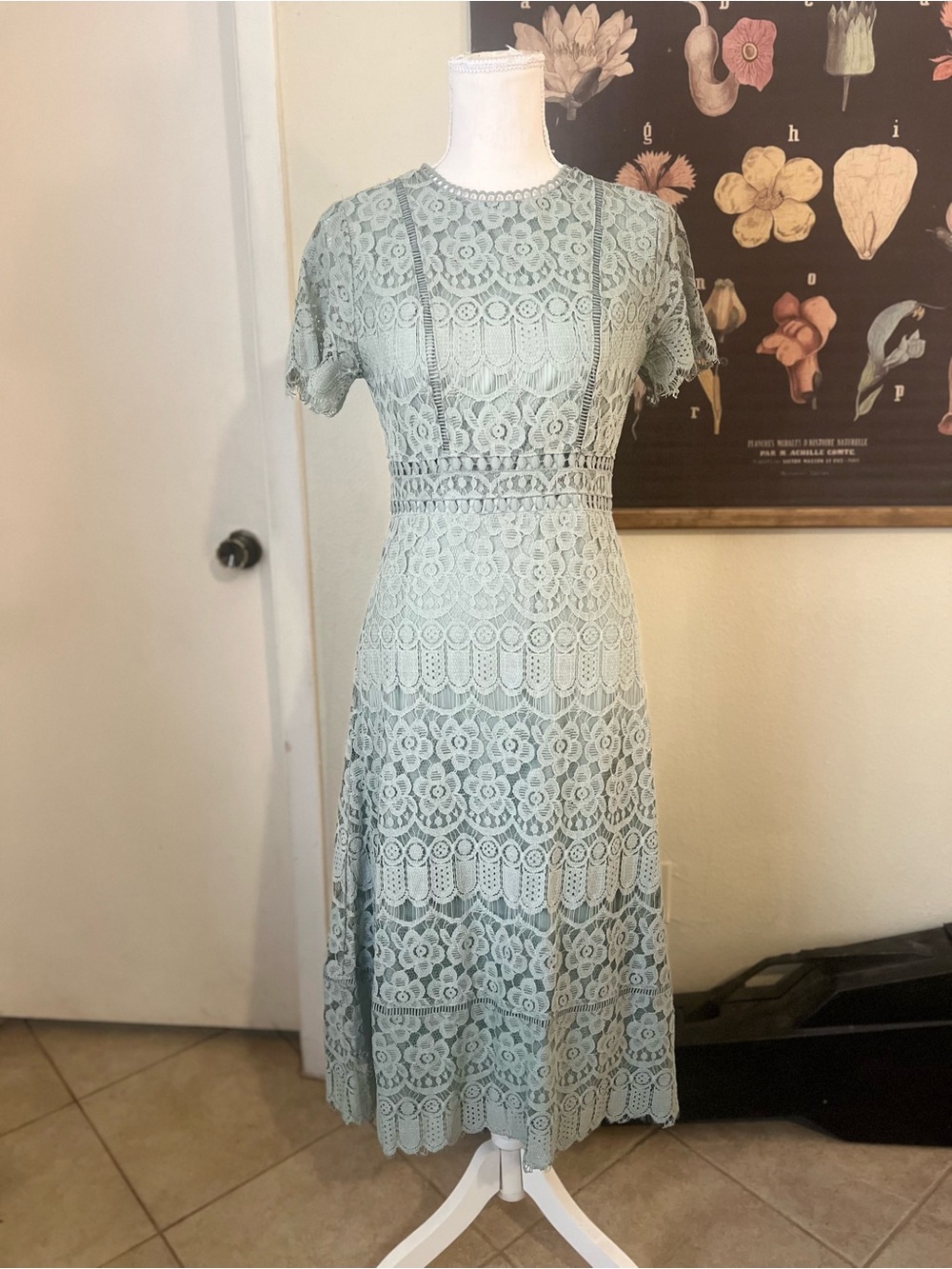 August Sky Sage Green Lace Midi Dress